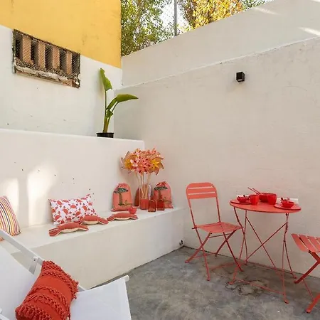 Akicity Sete Rios Iris Lisboa
